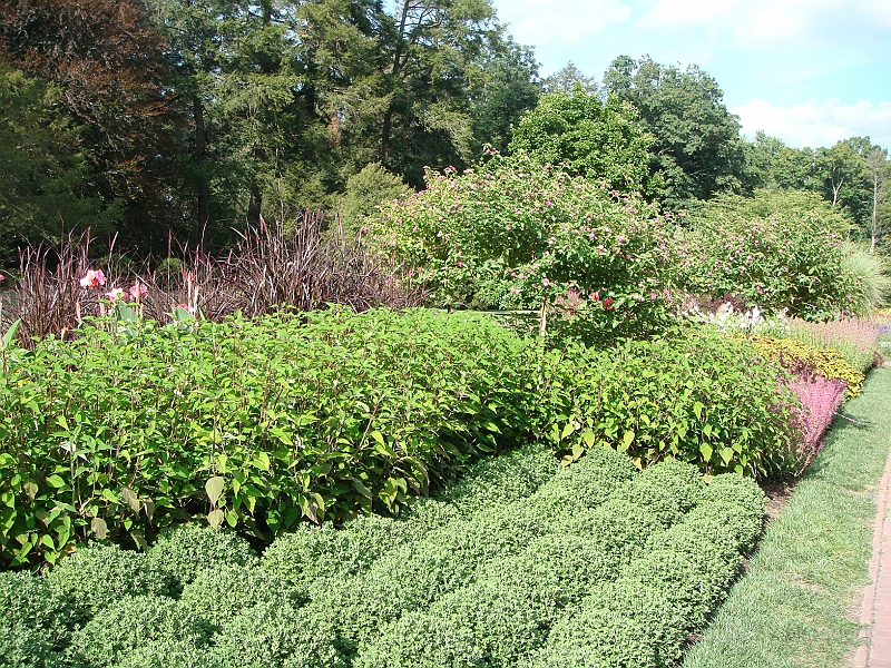 167 Longwood Gardens [2008 August 23].JPG - Longwood Gardens in Pennsylvania